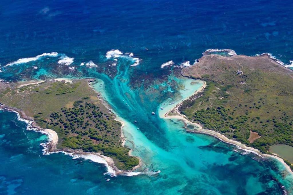 Studio Avec Grande Piscine, Plage Cannelle Caraibes Saint-Francois  Εξωτερικό φωτογραφία